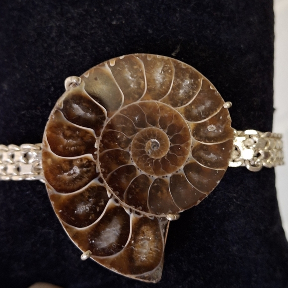 New Amonite Fossil Silver Bracelet. - Picture 10 of 13